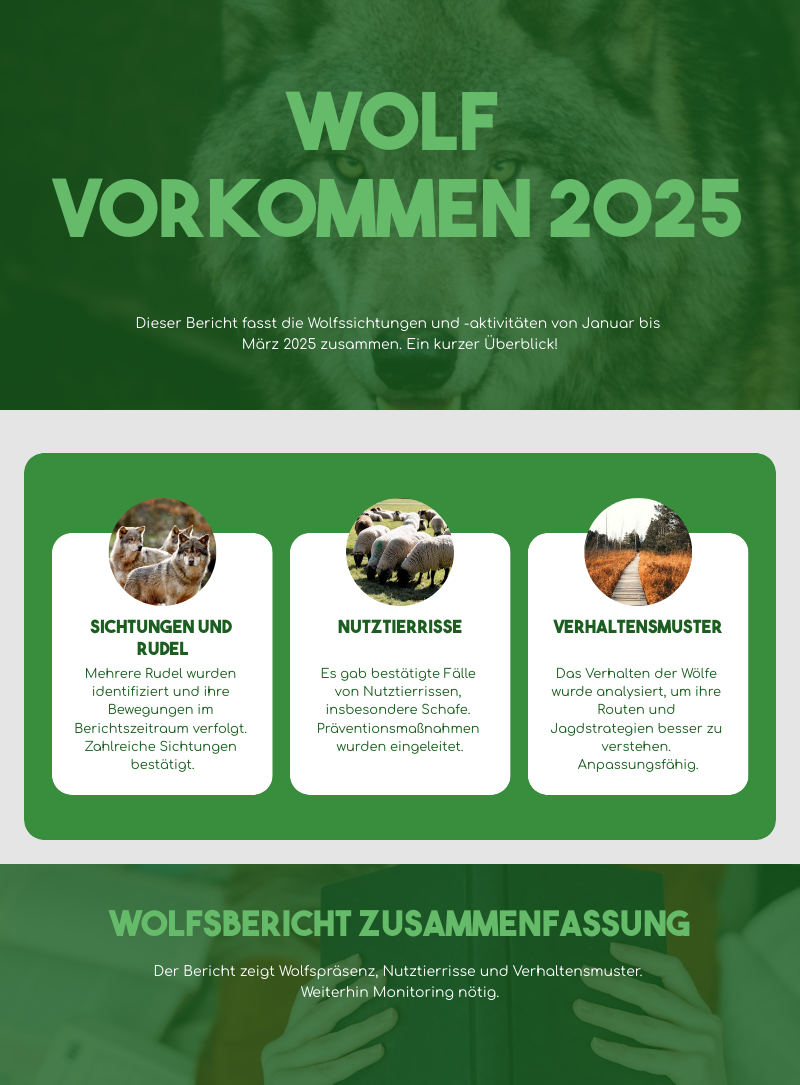 Erstelltes Poster aus Piktochart zum Wolfsmonitoringbericht